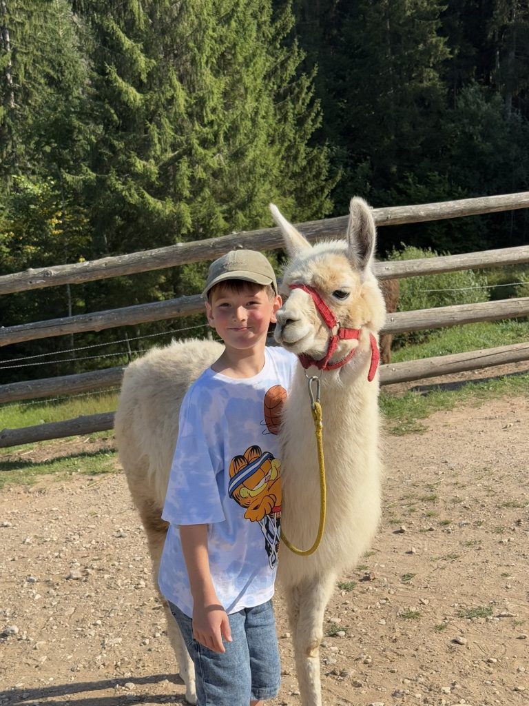 Pastaiga ar lamu vai alpaku