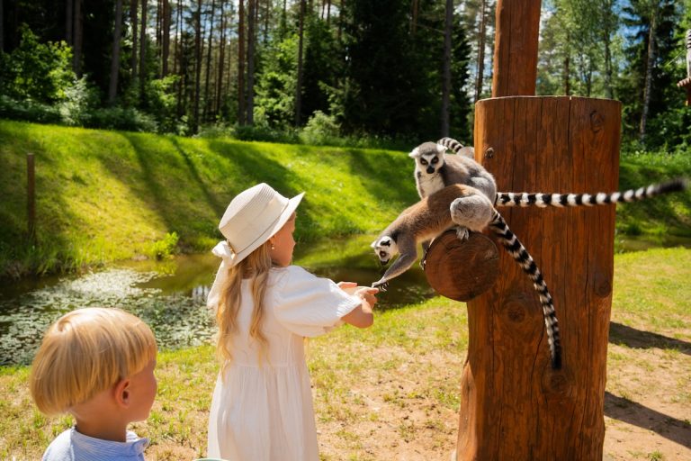 Lemuru barošana