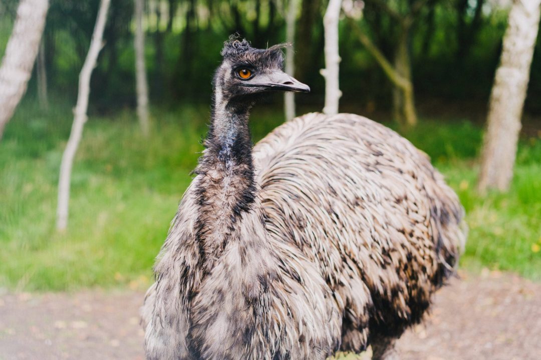 melissa-keizer-fyzZicuzcE8-unsplash (1)